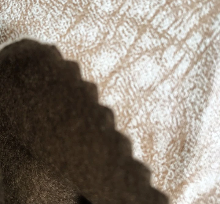 Polyester Suede PU Fabric For Sofa